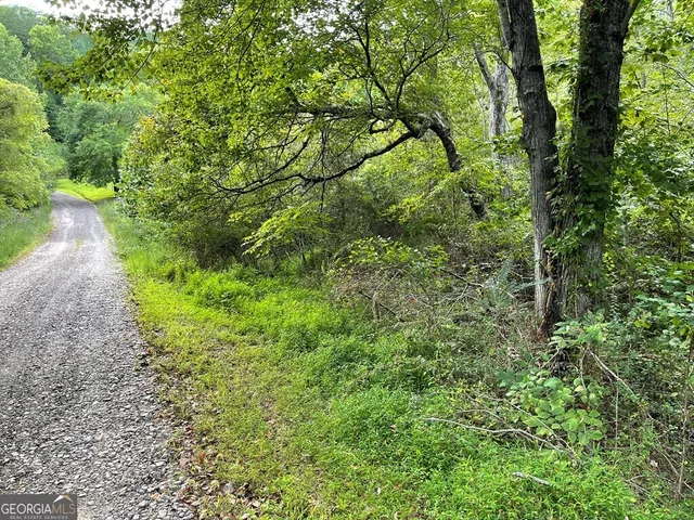 $19,900 | Lot 9 Sharons Way, Hayesville, NC 28904