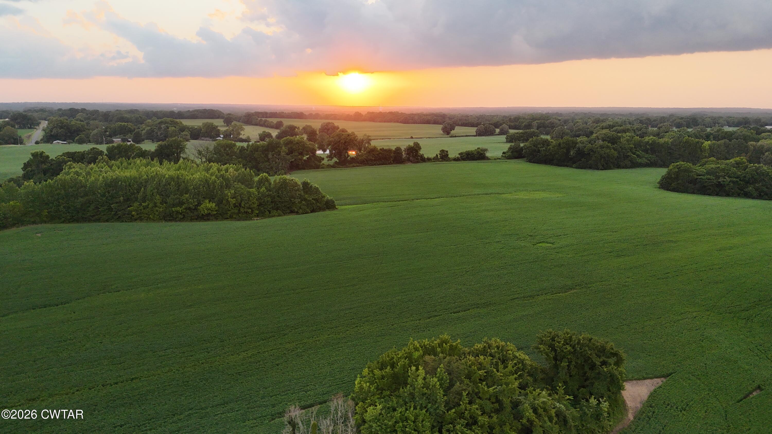 0 Cribbs Road Dyersburg, TN 38024 - Photo 6 of 10 dji_fly_20260701_200256_0951_17829567807