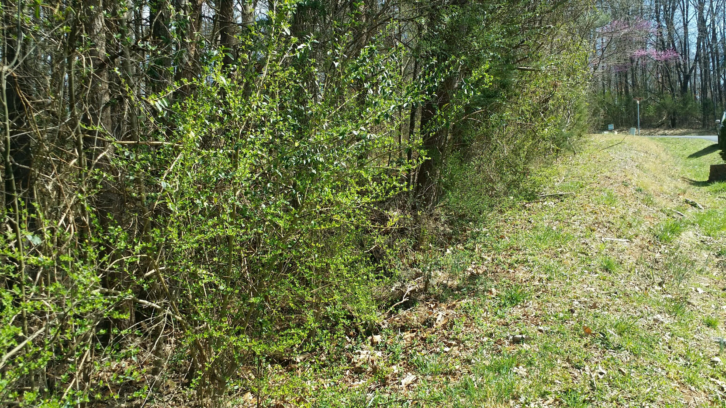 134 Inagehi Way Loudon, TN 37774 - Photo 3 of 6 Inagehi Way 5