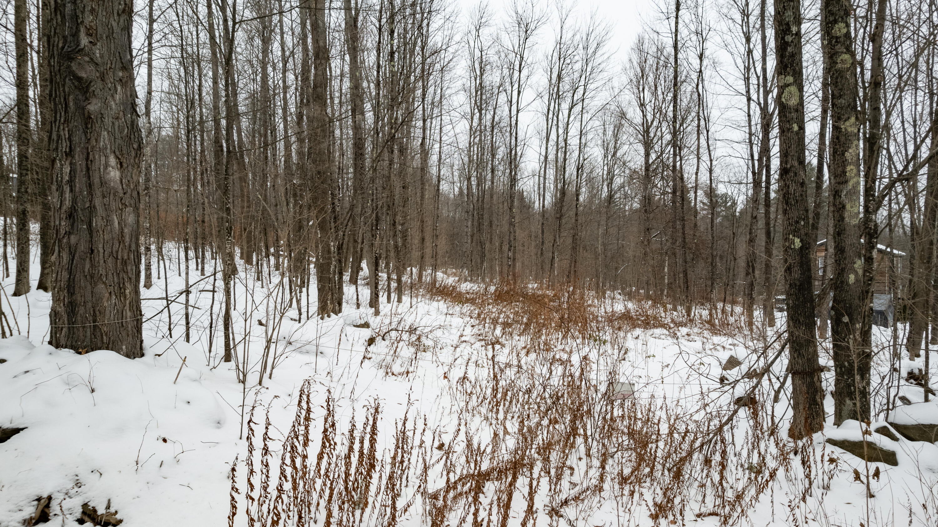 31 Gilman Road Monmouth, ME 04259 - Photo 4 of 25 Gilman Monmouth-4