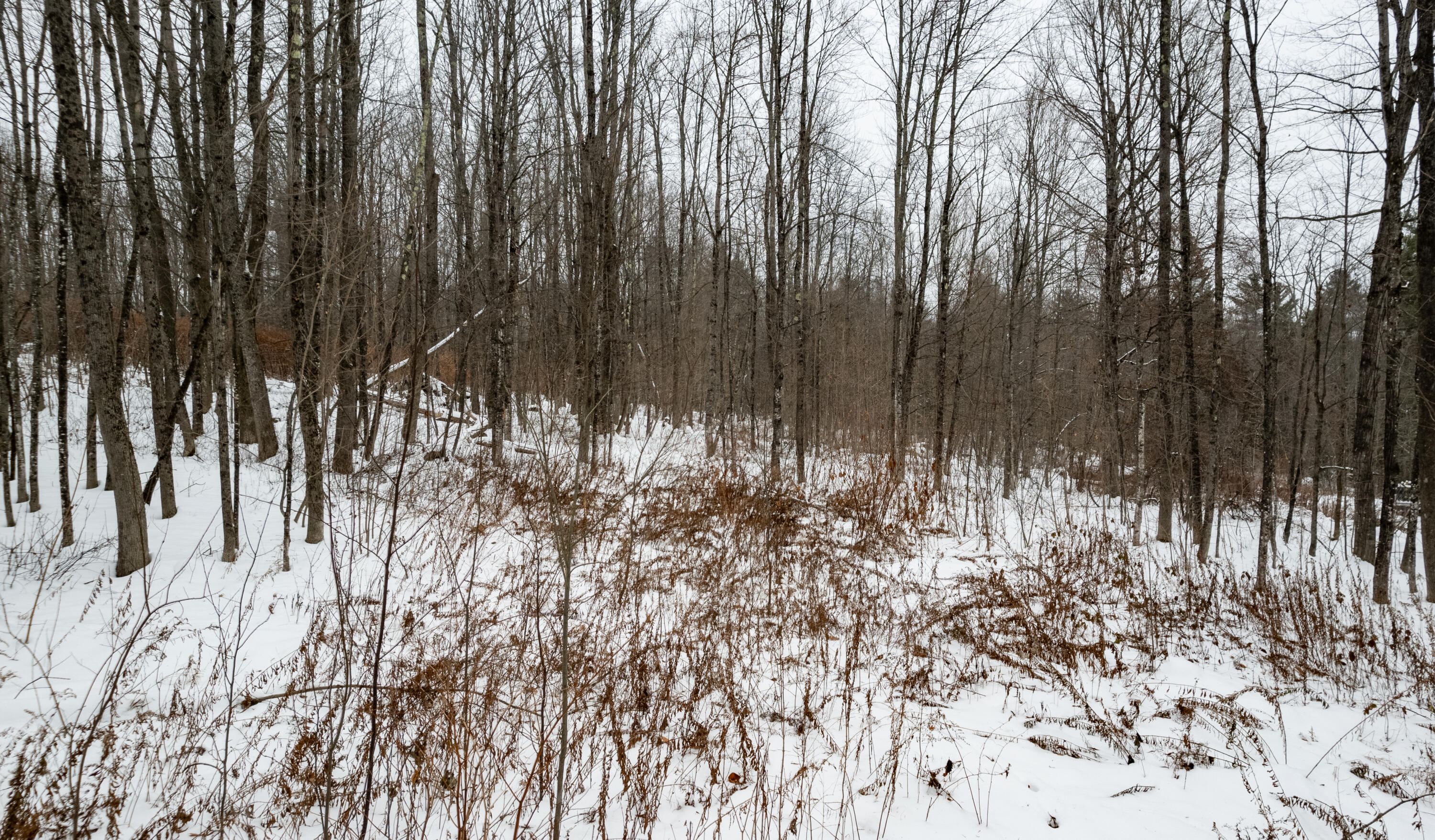 31 Gilman Road Monmouth, ME 04259 - Photo 5 of 25 Gilman Monmouth-5