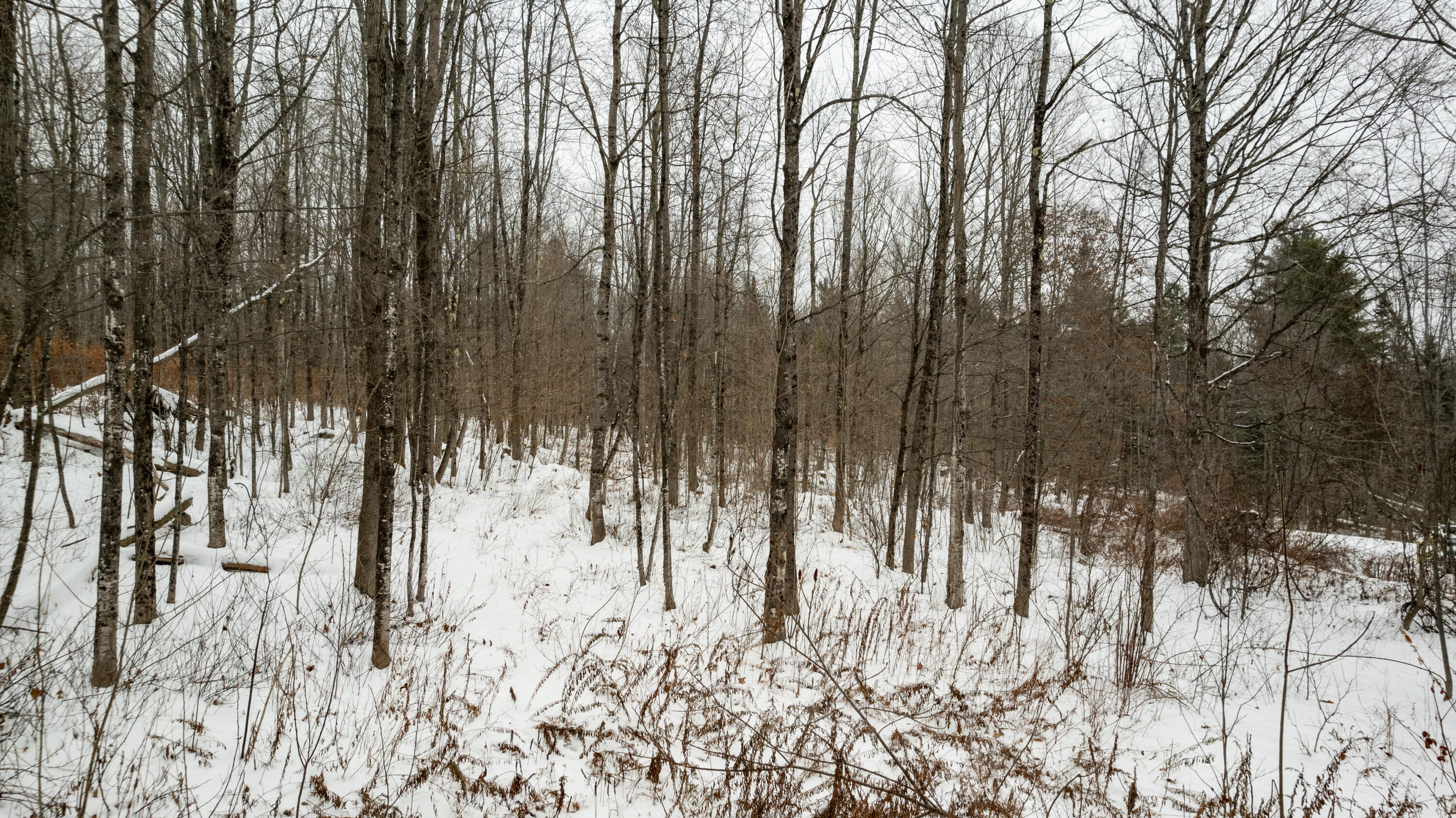 31 Gilman Road Monmouth, ME 04259 - Photo 6 of 25 Gilman Monmouth-6