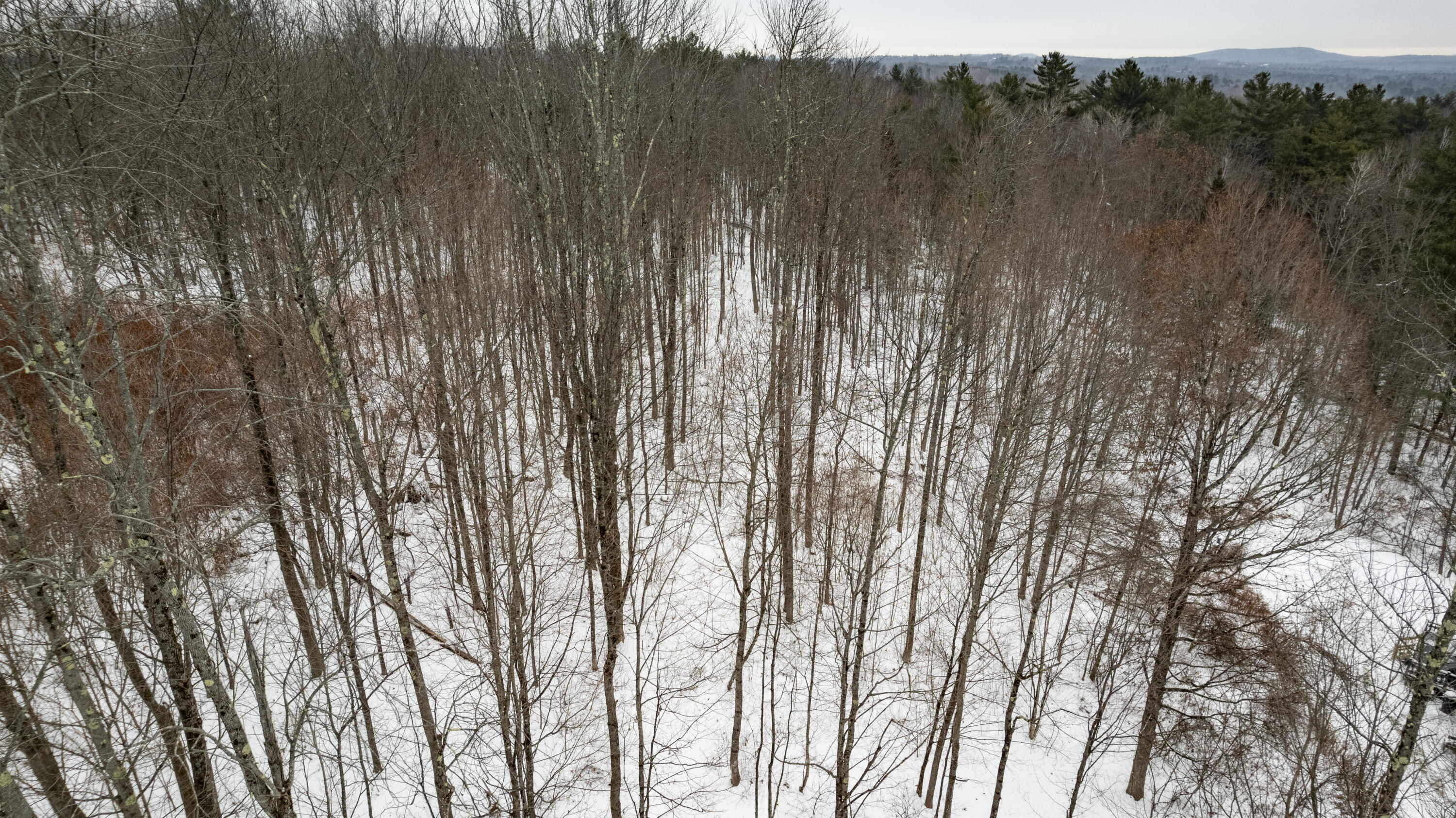 31 Gilman Road Monmouth, ME 04259 - Photo 7 of 25 Gilman Monmouth-7