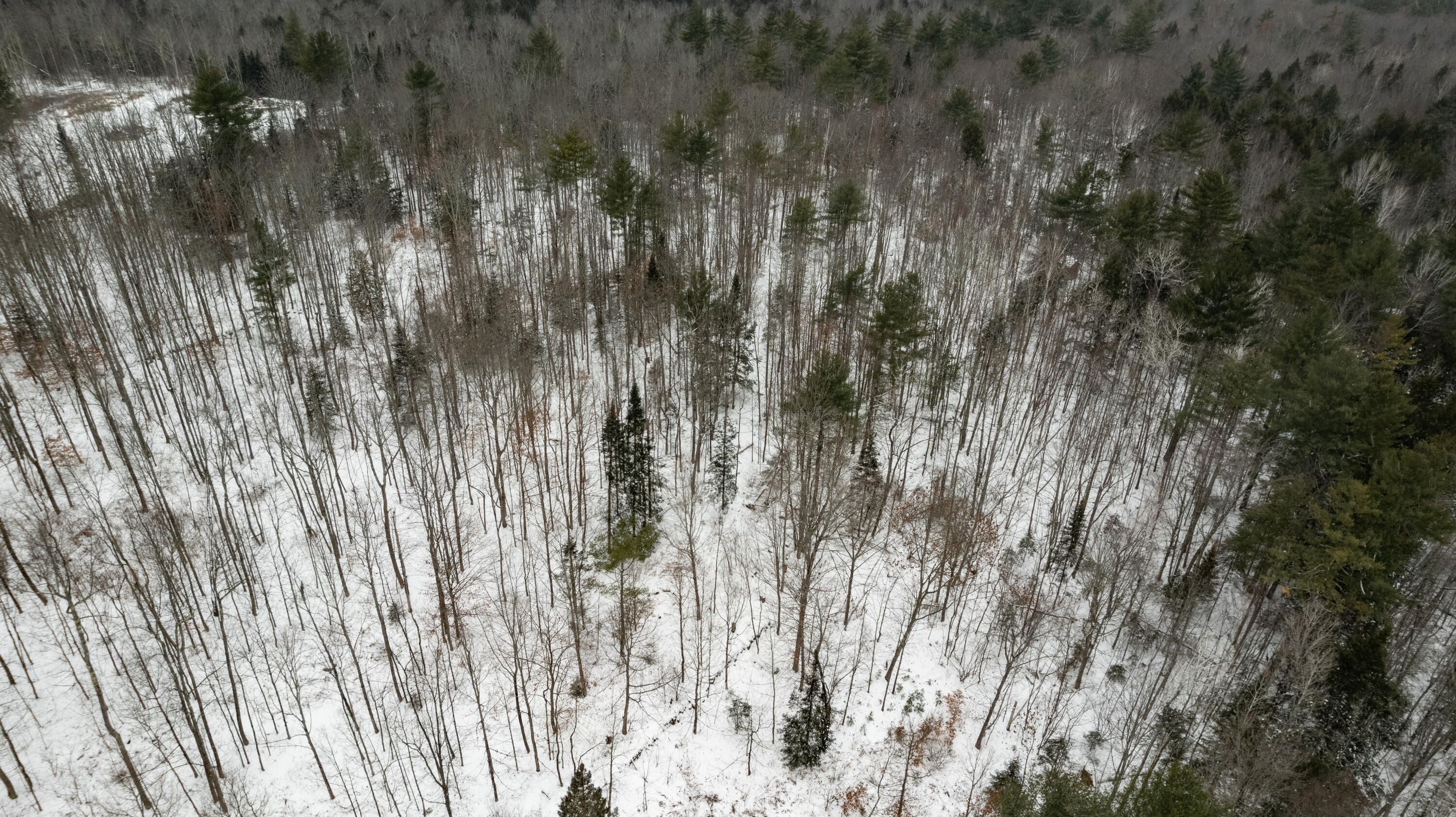 31 Gilman Road Monmouth, ME 04259 - Photo 10 of 25 Gilman Monmouth-10