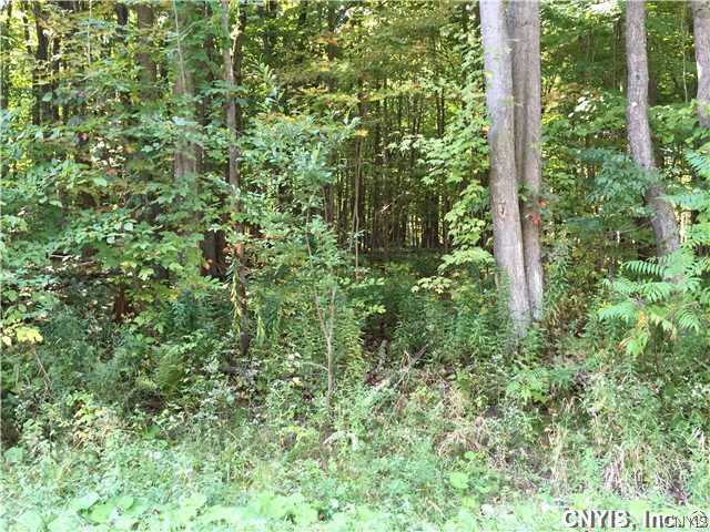 0 Kibby Road Mexico, NY 13114 - Photo 1 of 1 Land