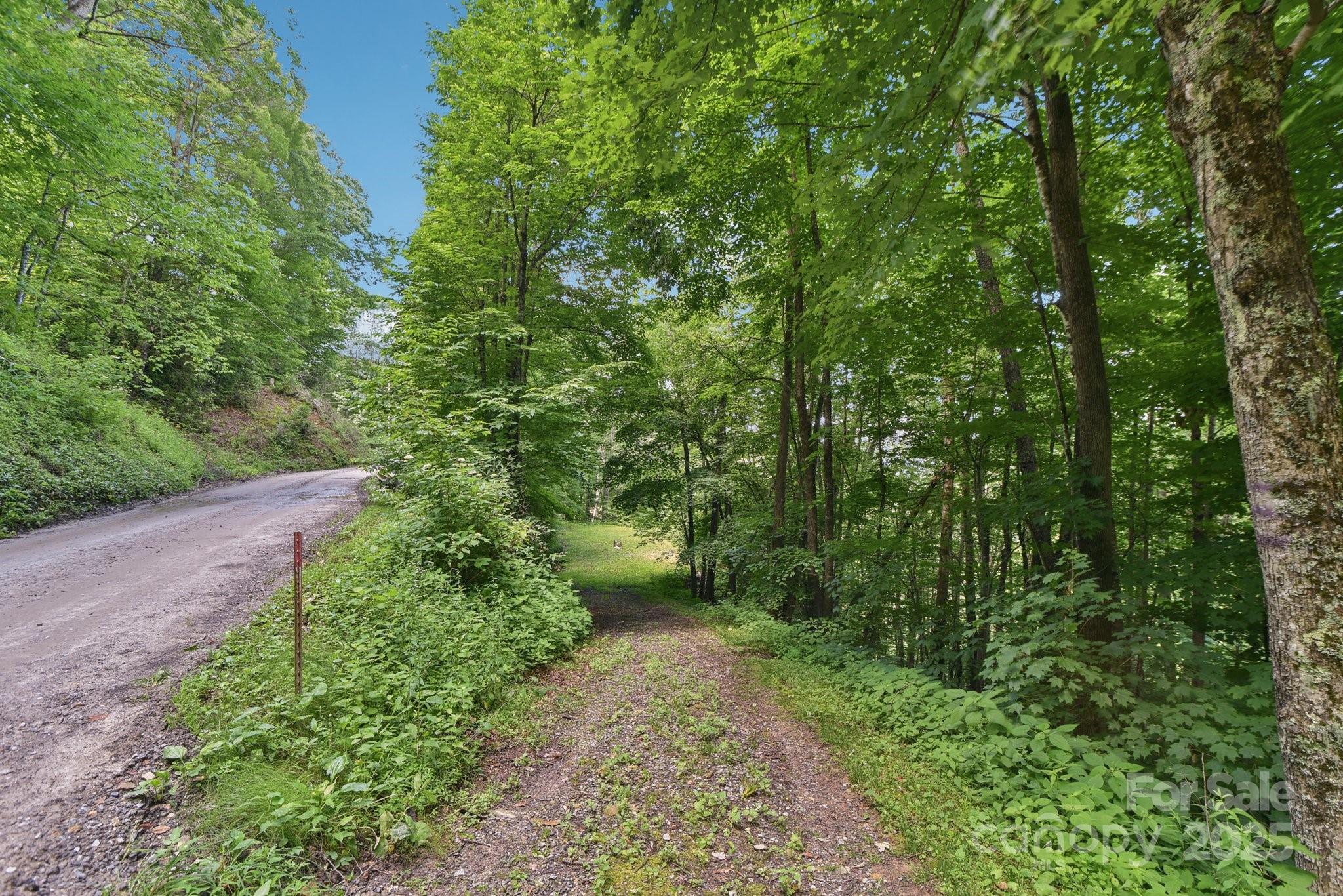 0 Plott Balsam Road Maggie Valley, NC 28751 - Photo 2 of 5