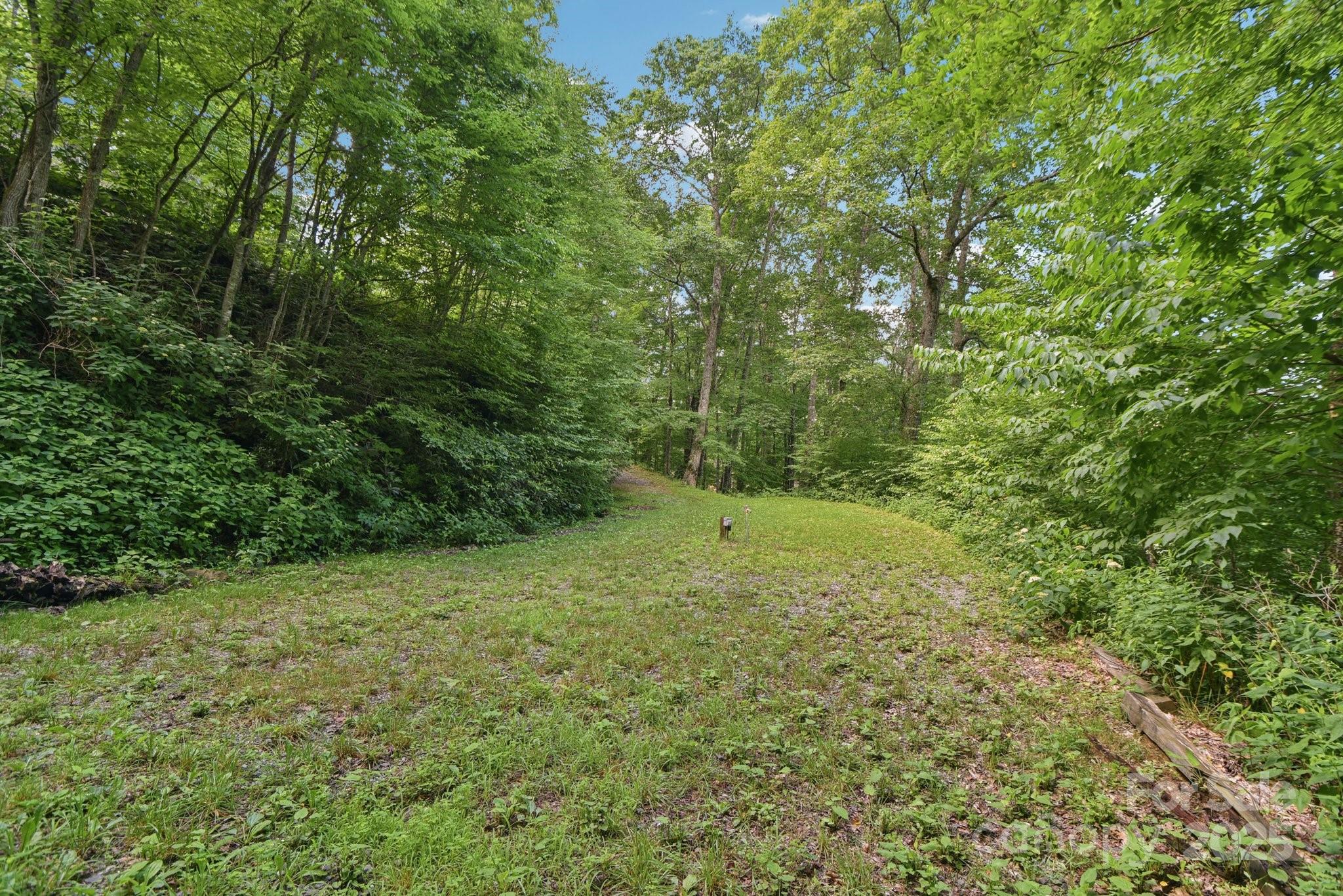 0 Plott Balsam Road Maggie Valley, NC 28751 - Photo 4 of 5