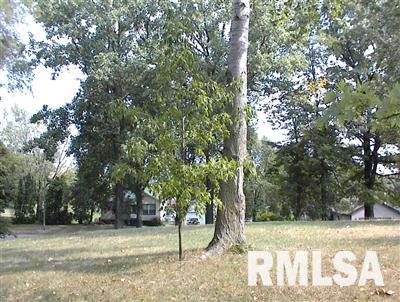 812 6th Avenue Fulton, IL 61252 - Photo 3 of 5 Gallery Image 3