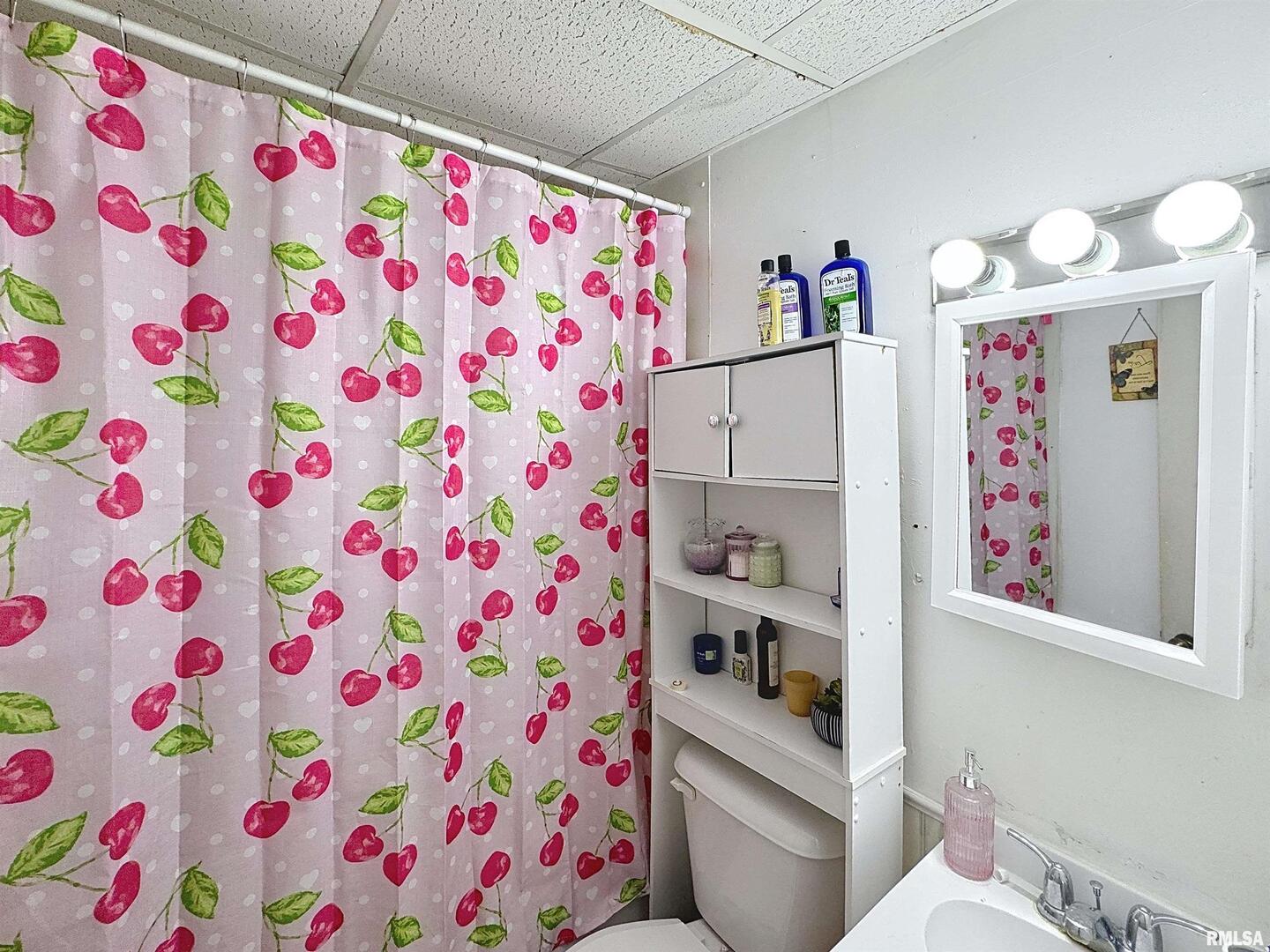 1214 2nd Avenue Silvis, IL 61282 - Photo 4 of 19