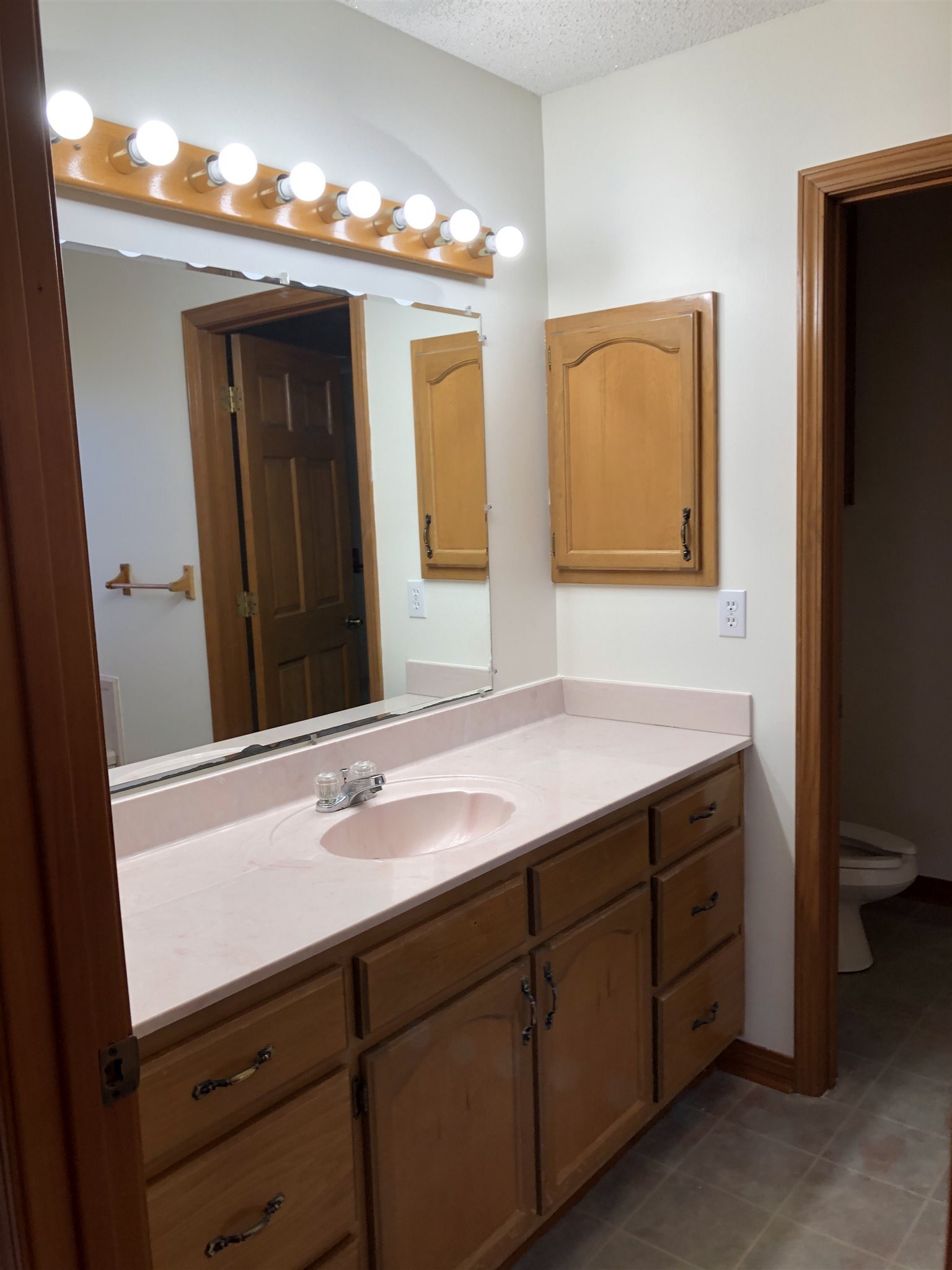 16677 Thompson Road Loxley, AL 36551 - Photo 13 of 31 Master bath ensuite