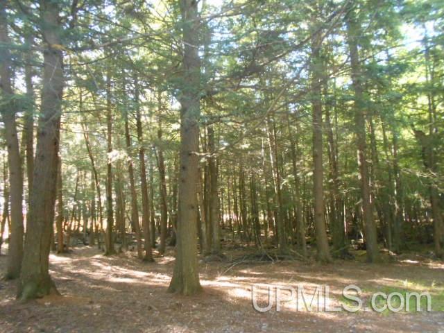 Tbd Miller Road Florence, WI 54121 - Photo 6 of 24