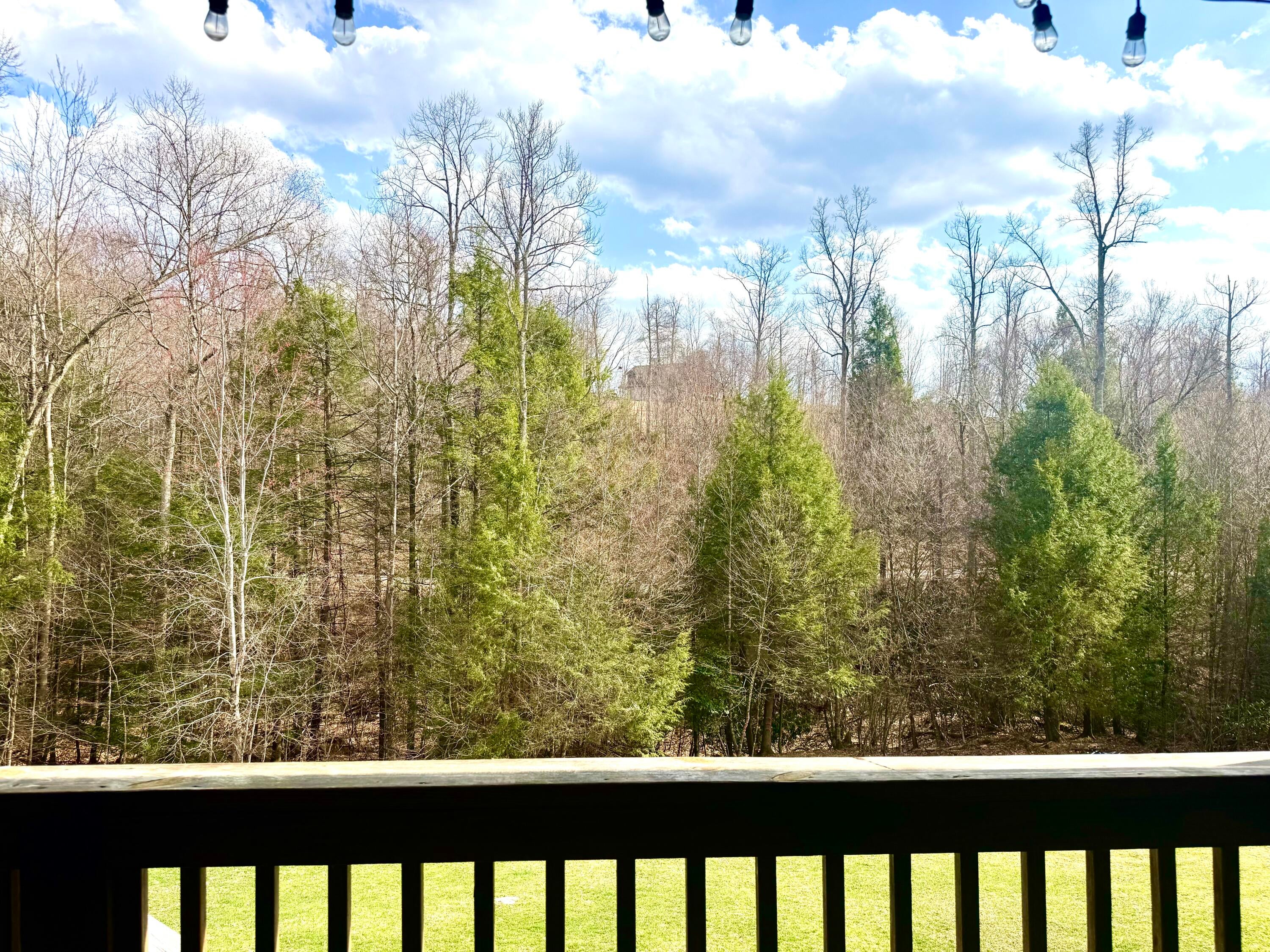 213 Sunset Ridge Lane Mount Nebo, WV 26679 - Photo 44 of 54 Gallery Image 44