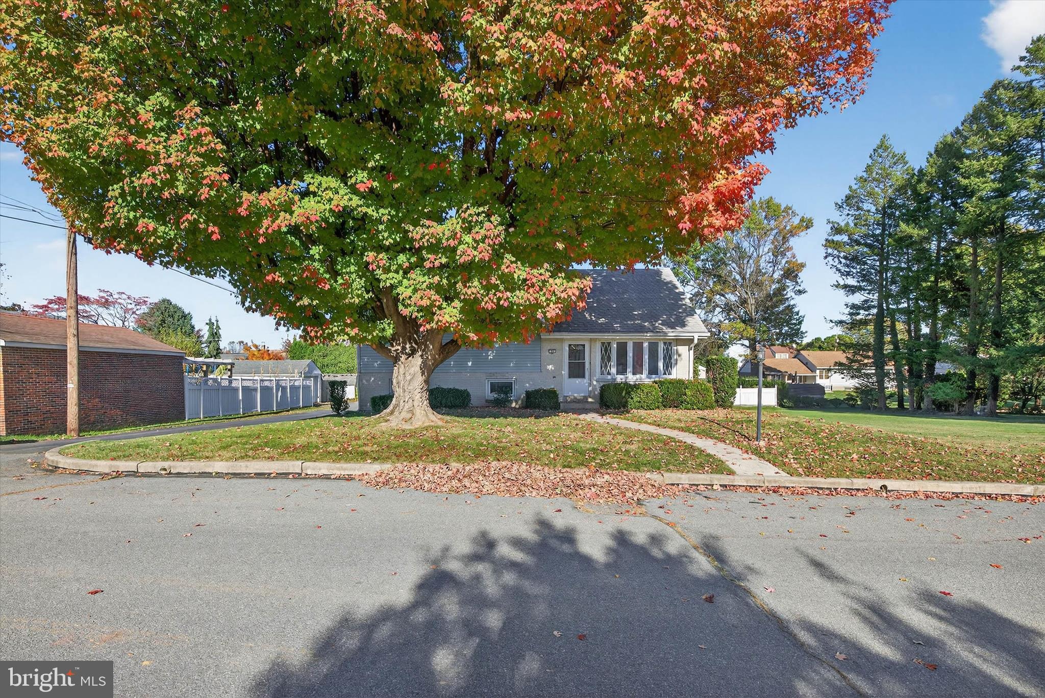 27 Rosemont Avenue Reading, PA 19607 - Photo 1 of 54 a house with trees in front of it