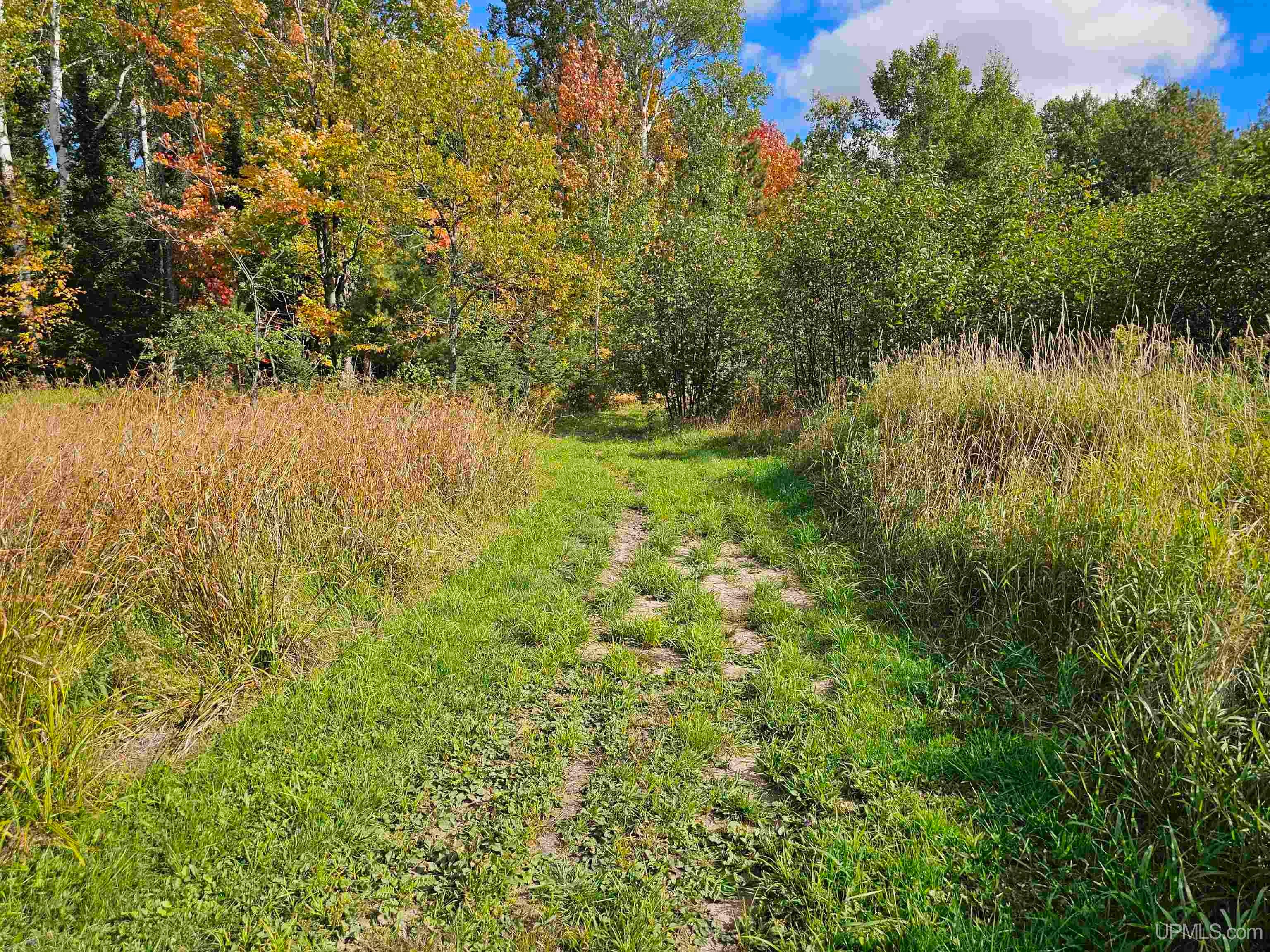 17811 Lee Road Lanse, MI 49946 - Photo 52 of 70 Gallery Image 52