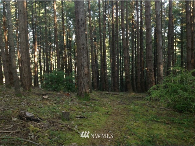 0 East Stretch Island Road North Grapeview, WA 98546 - Photo 2 of 7 Gallery Image 2