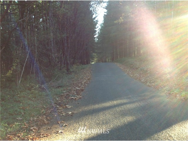 0 East Stretch Island Road North Grapeview, WA 98546 - Photo 3 of 7 Gallery Image 3