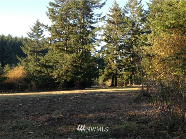 0 East Stretch Island Road North Grapeview, WA 98546 - Photo 5 of 7 Gallery Image 5