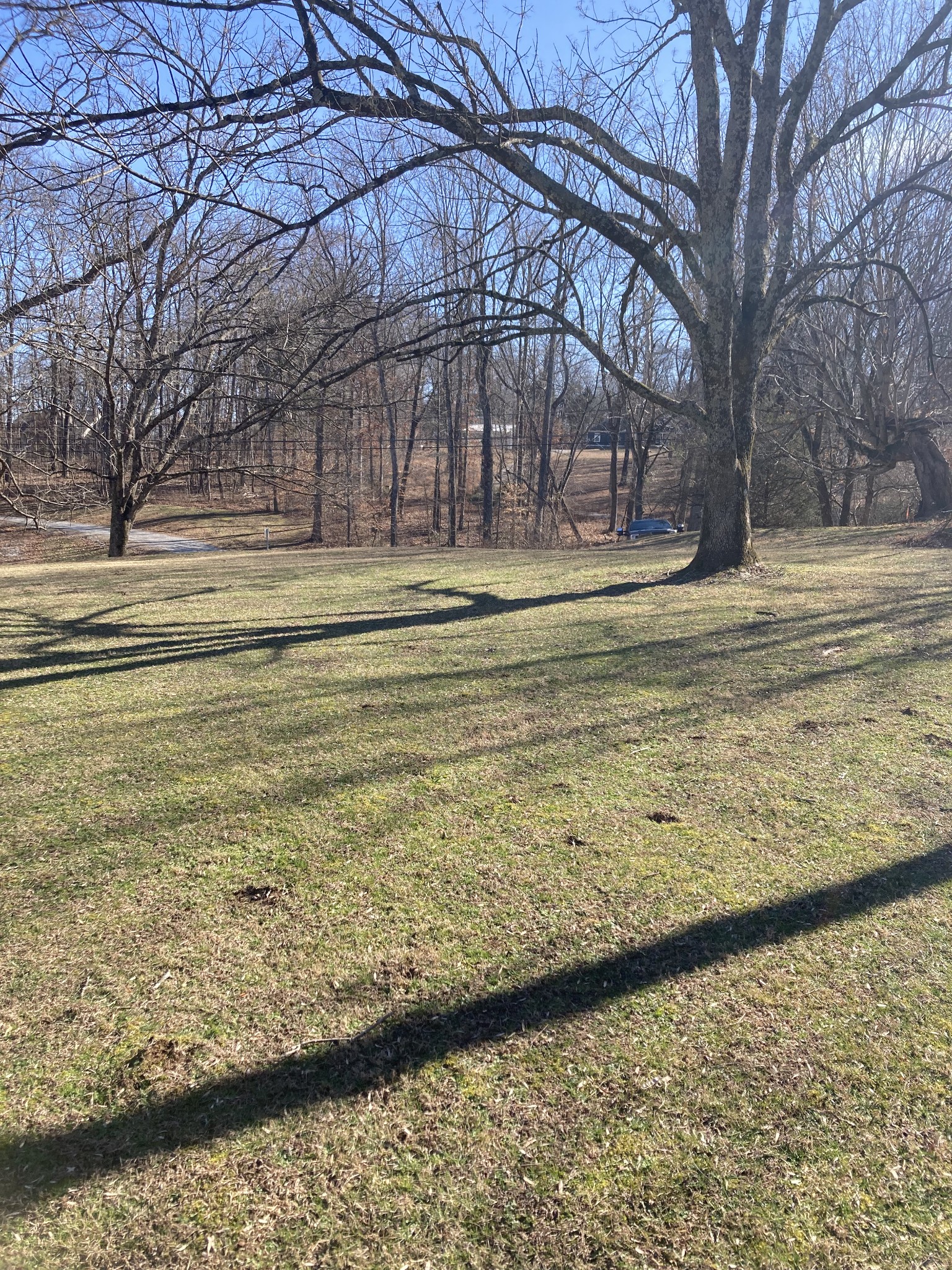 0 76th Highway Portland, TN 37148 - Photo 2 of 5