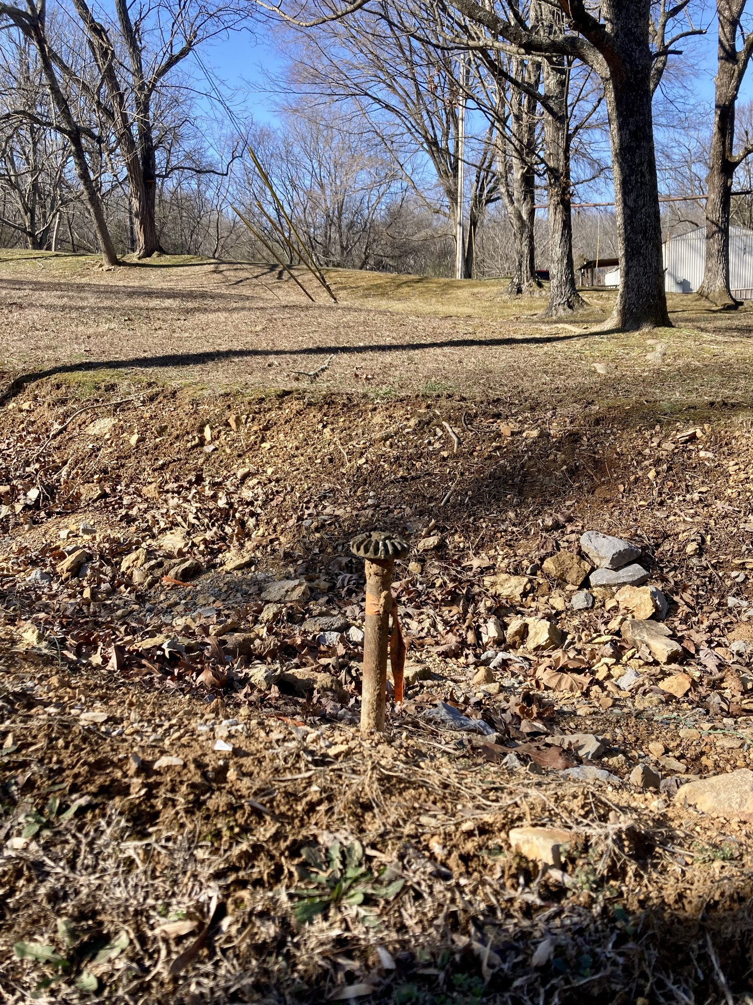 0 76th Highway Portland, TN 37148 - Photo 3 of 5