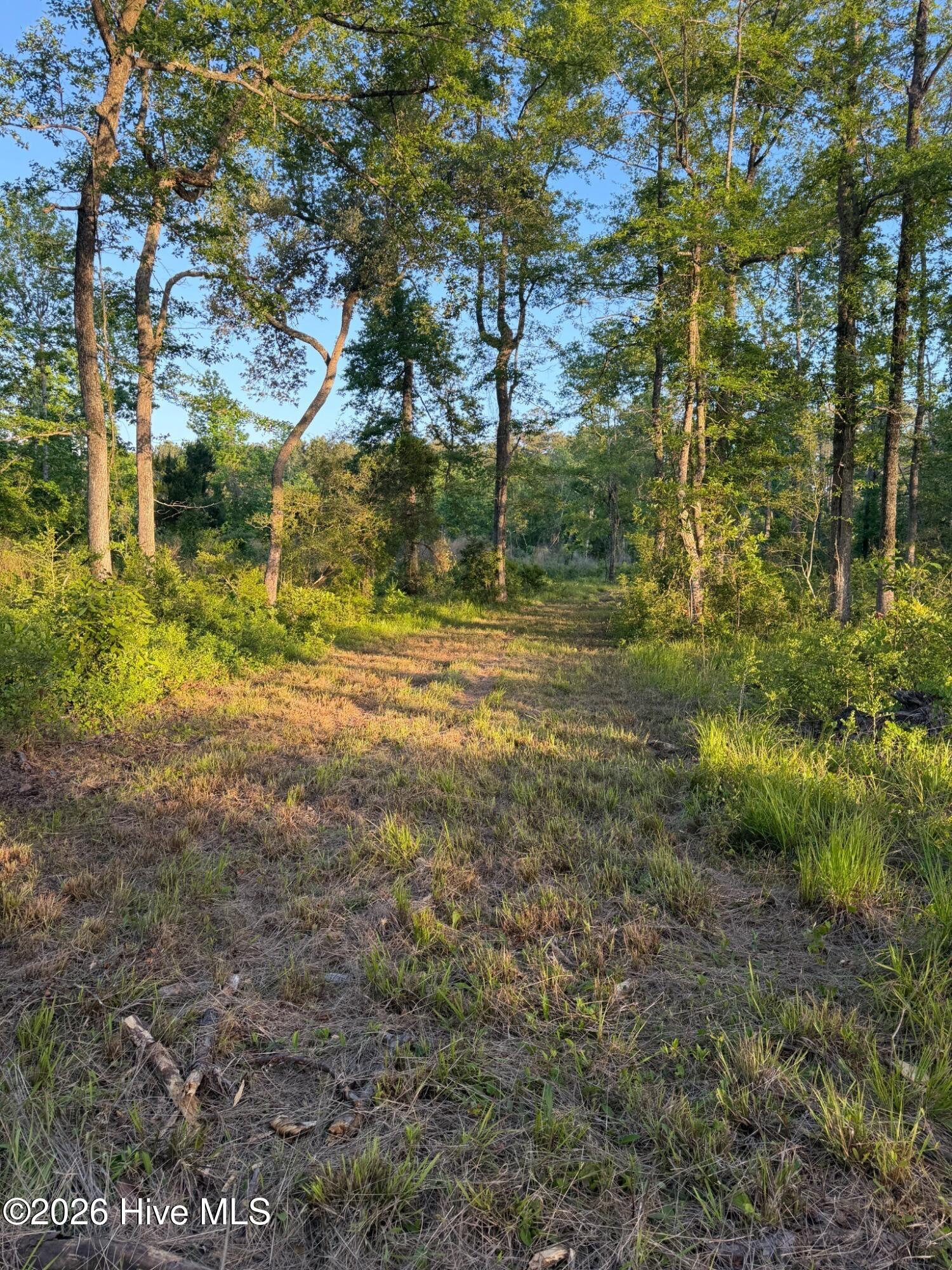 705 Russells Creek Road Beaufort, NC 28516 - Photo 31 of 36