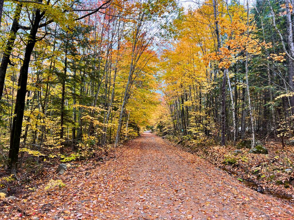 25 B Moody Road Porter, ME 04068 - Photo 6 of 12 5