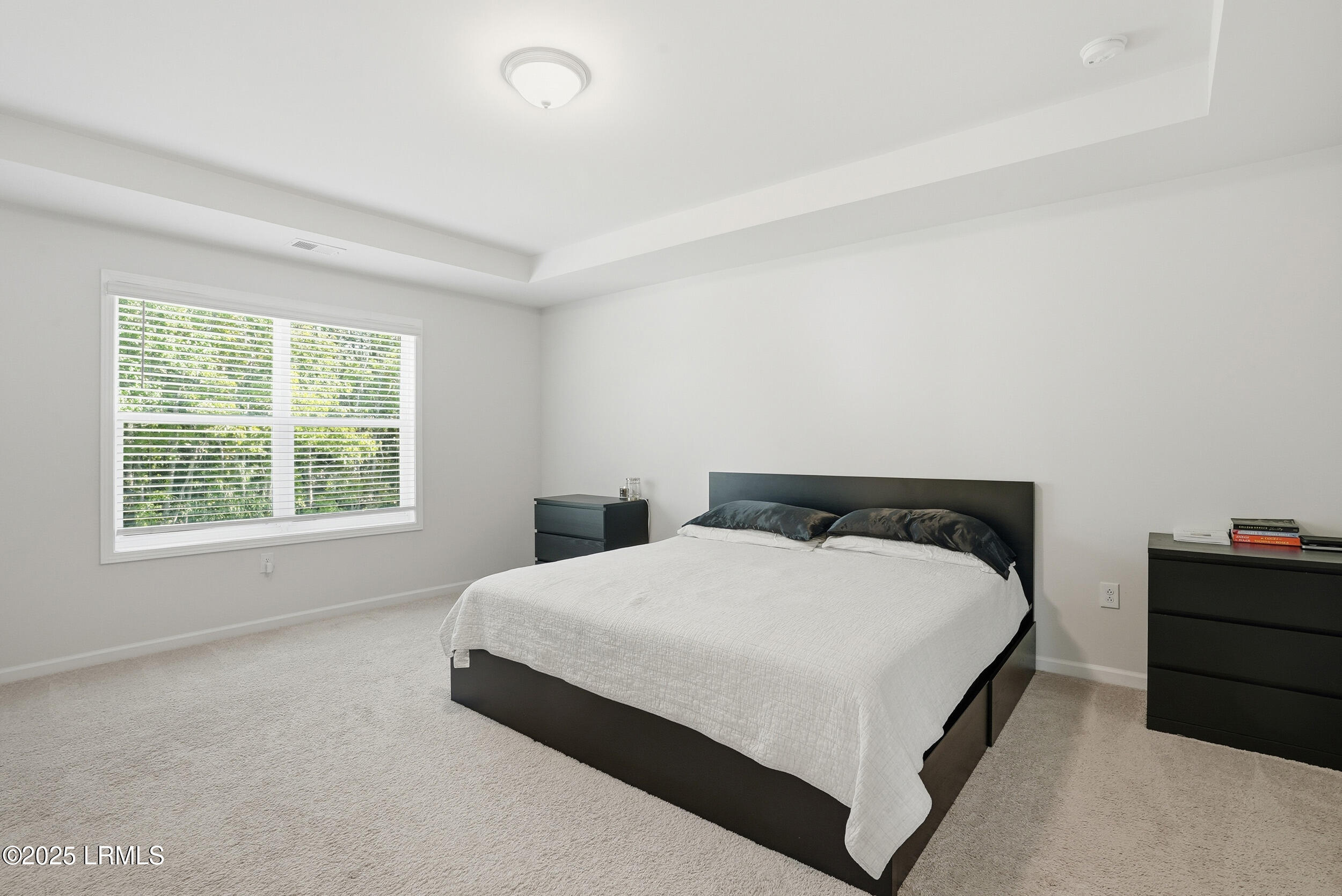 147 Chestnut Street Beaufort, SC 29906 - Photo 24 of 40 38_ecp_023