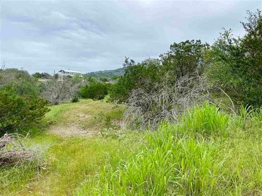Tbd Spring Street Burnet, TX 78611 - Photo 3 of 17 a view of a green field with lots of bushes