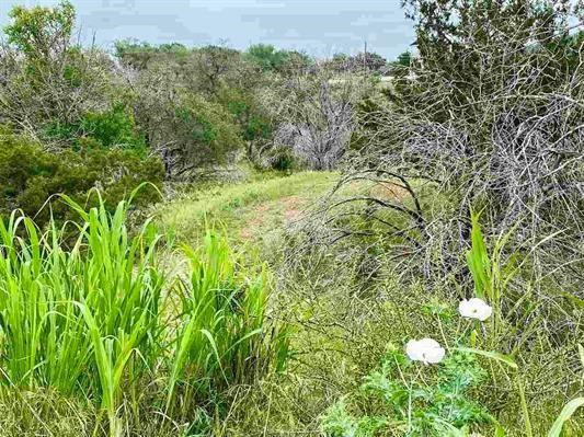 Tbd Spring Street Burnet, TX 78611 - Photo 4 of 17