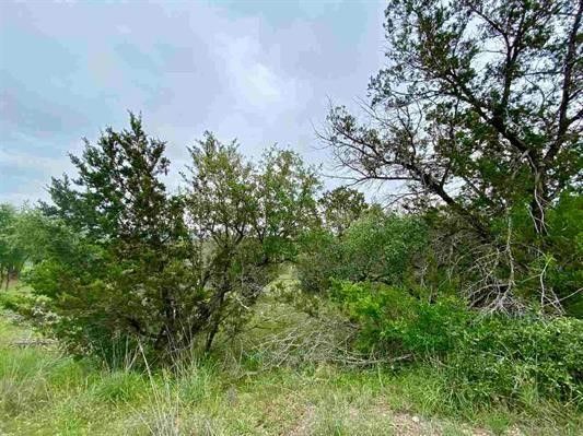 a view of a forest with mountains in the background