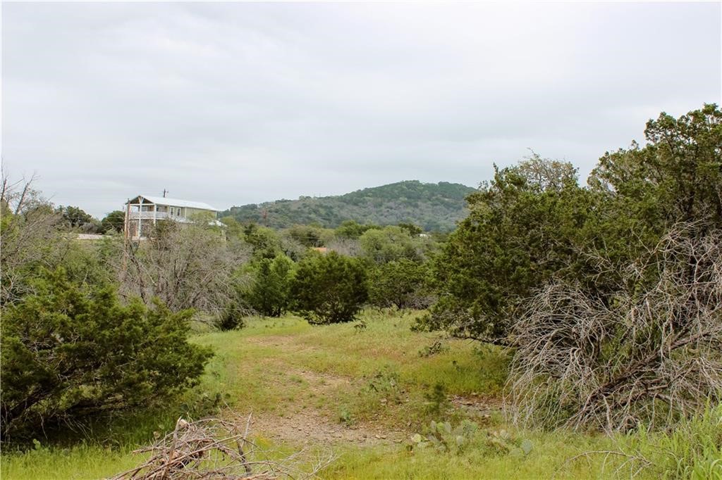 Tbd Spring Street Burnet, TX 78611 - Photo 6 of 17 a view of a forest with mountains in the background