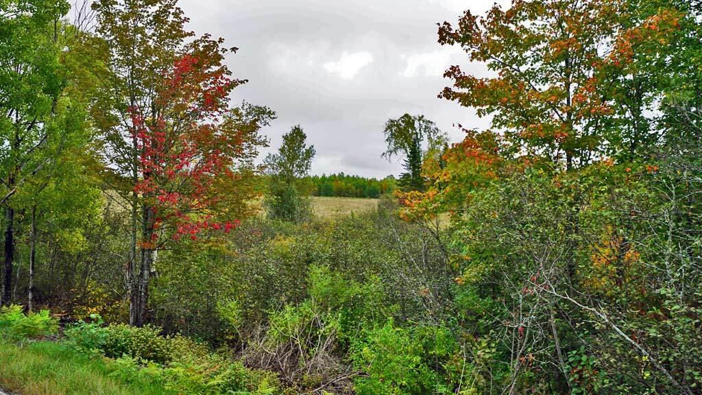 Lot 8 Kelly Road Wytopitlock, ME 04497 - Photo 8 of 23 bancroft-me-land