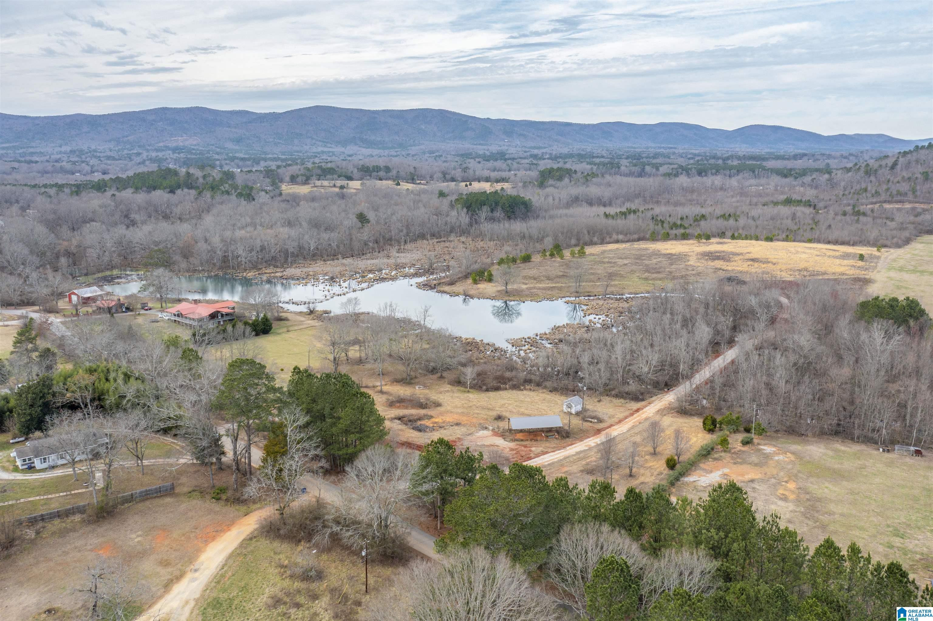 1619 Old Downing Ml Road, Unit 40 03 ACRES Anniston, AL 36207 - Photo 3 of 29