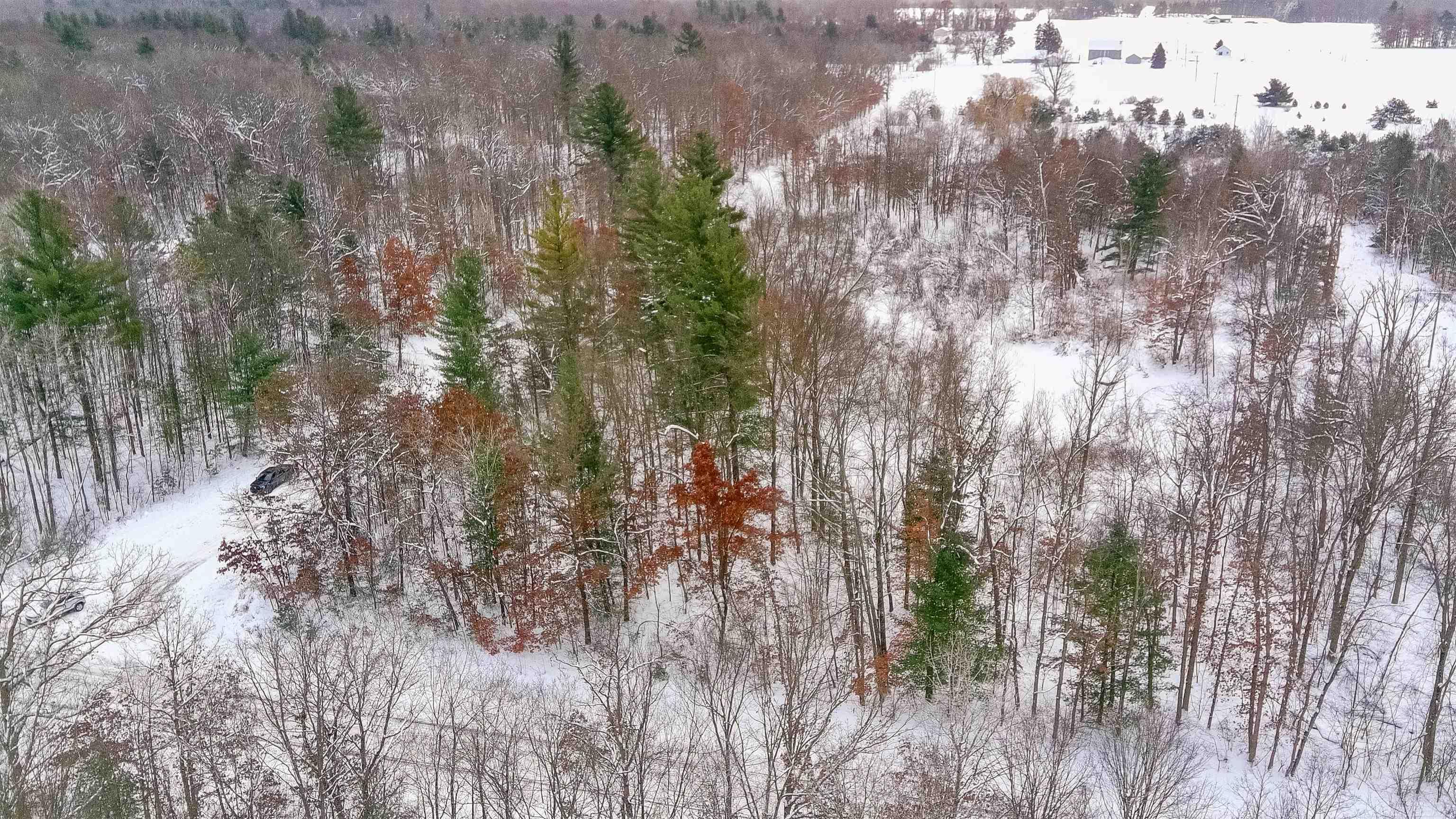 0 North Dagget Road Howard City, MI 49329 - Photo 10 of 25