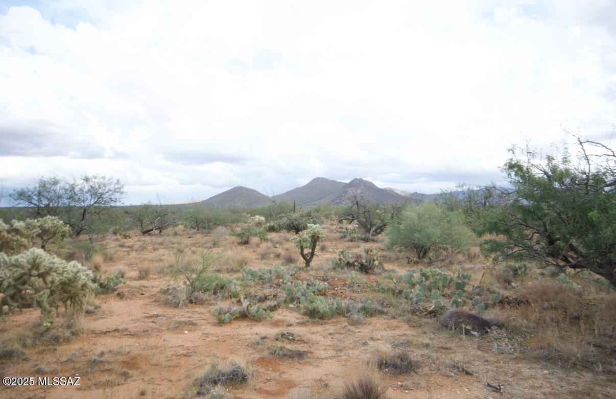 14536 West Diamond Bell Ranch Road, Unit 406 Tucson, AZ 85736 - Photo 1 of 16