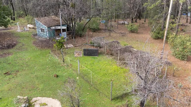 a view of dirt yard with a large tree
