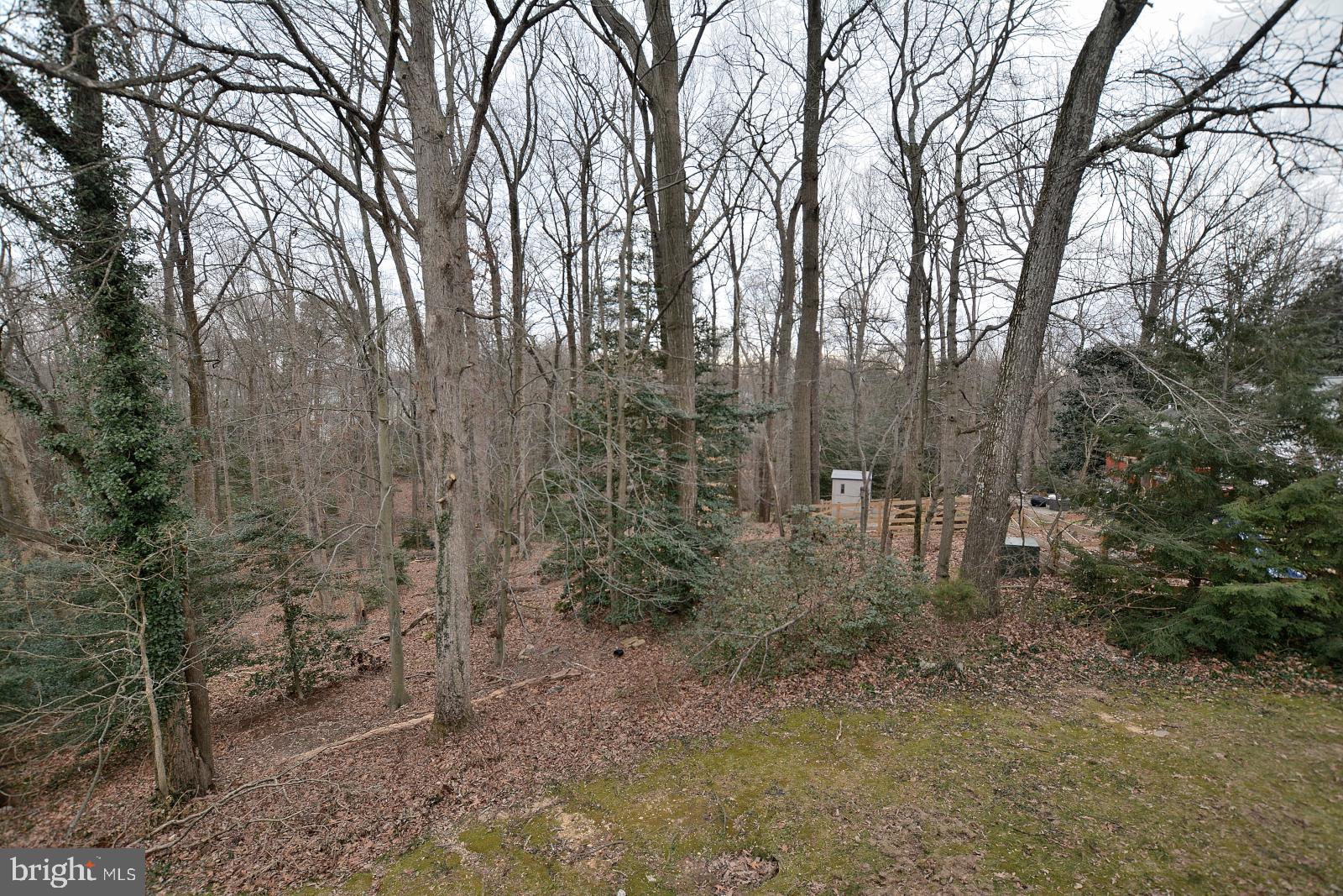 8003 West Point Drive Springfield, VA 22153 - Photo 34 of 38 Gallery Image 34