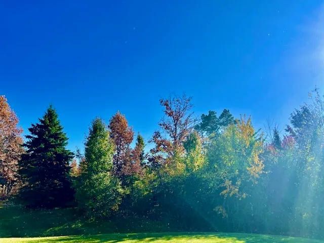 $485,000 | 1328 Blue Heron Circle, Antioch, IL 60002