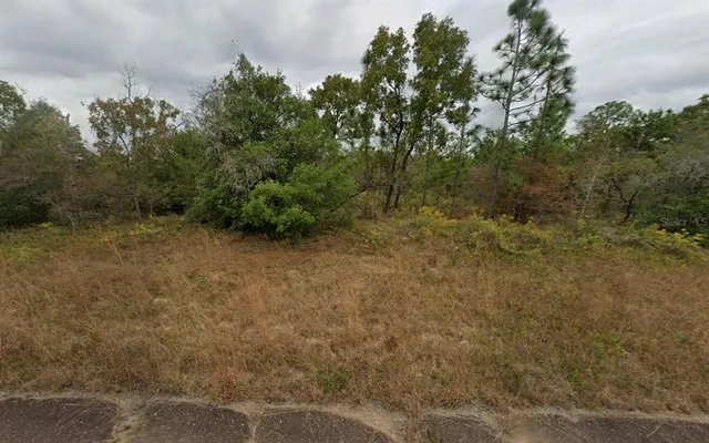 $9,000 | Matheson Street, Chipley, FL 32428