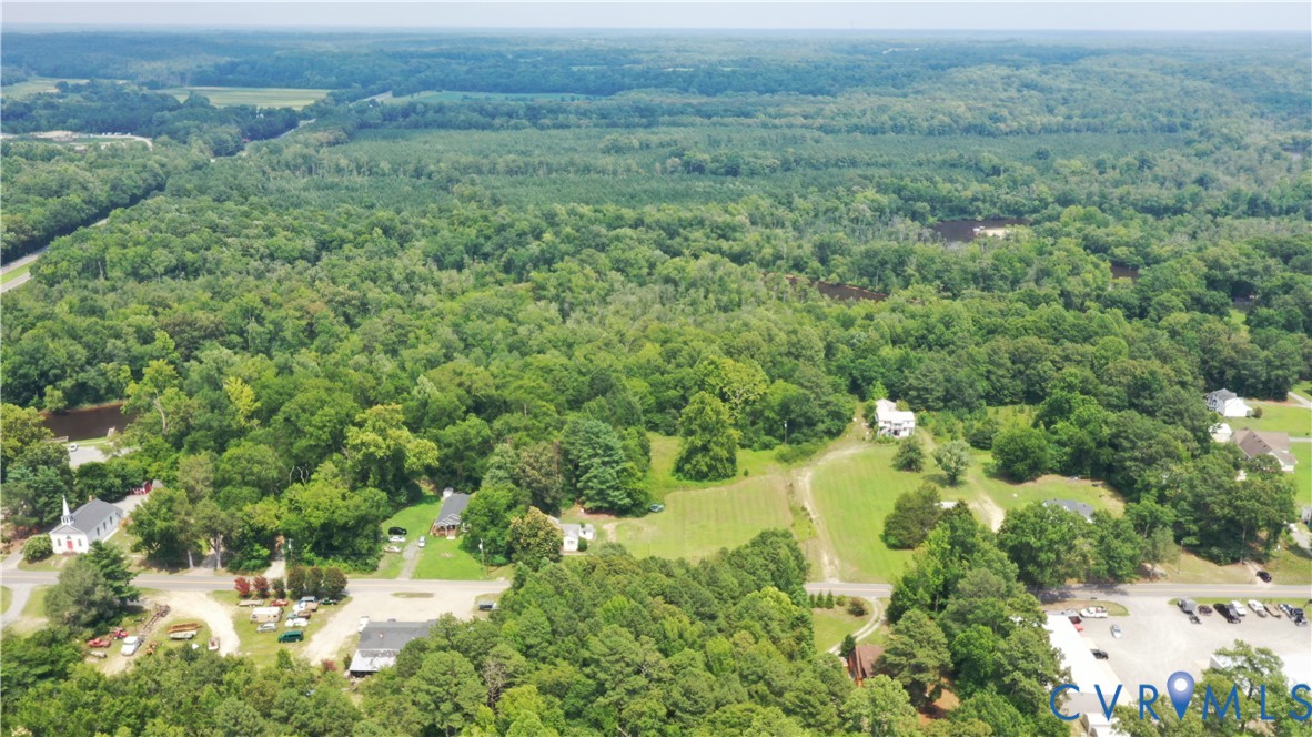 11367-11461 West River Road Aylett, VA 23009 - Photo 13 of 24 Expansive wooded landscape featuring a broad tree
