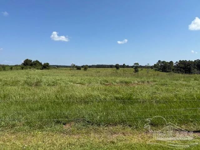 a view of a big yard