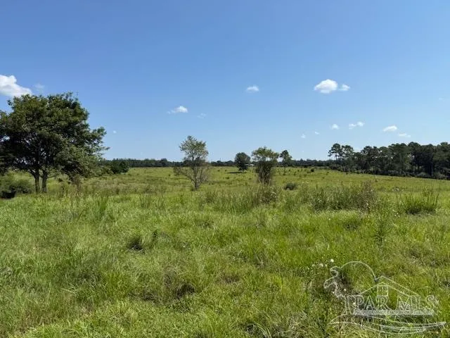 a view of a lake with a yard