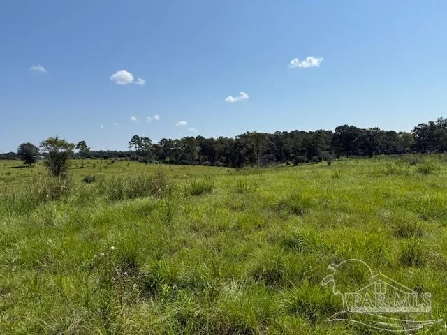 a view of a field of grass and trees