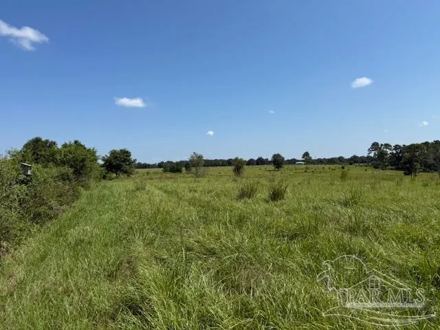 a view of a lake with a city