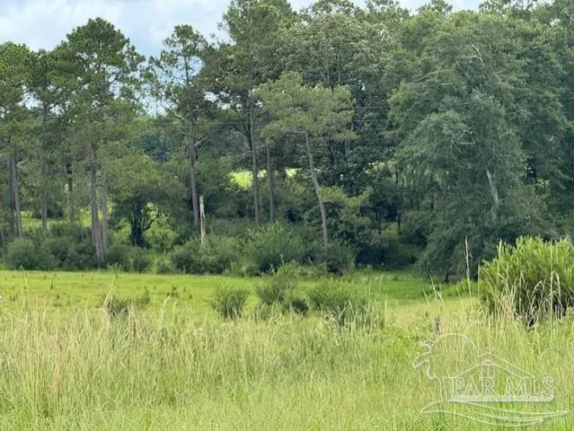 a view of outdoor space with green field and trees