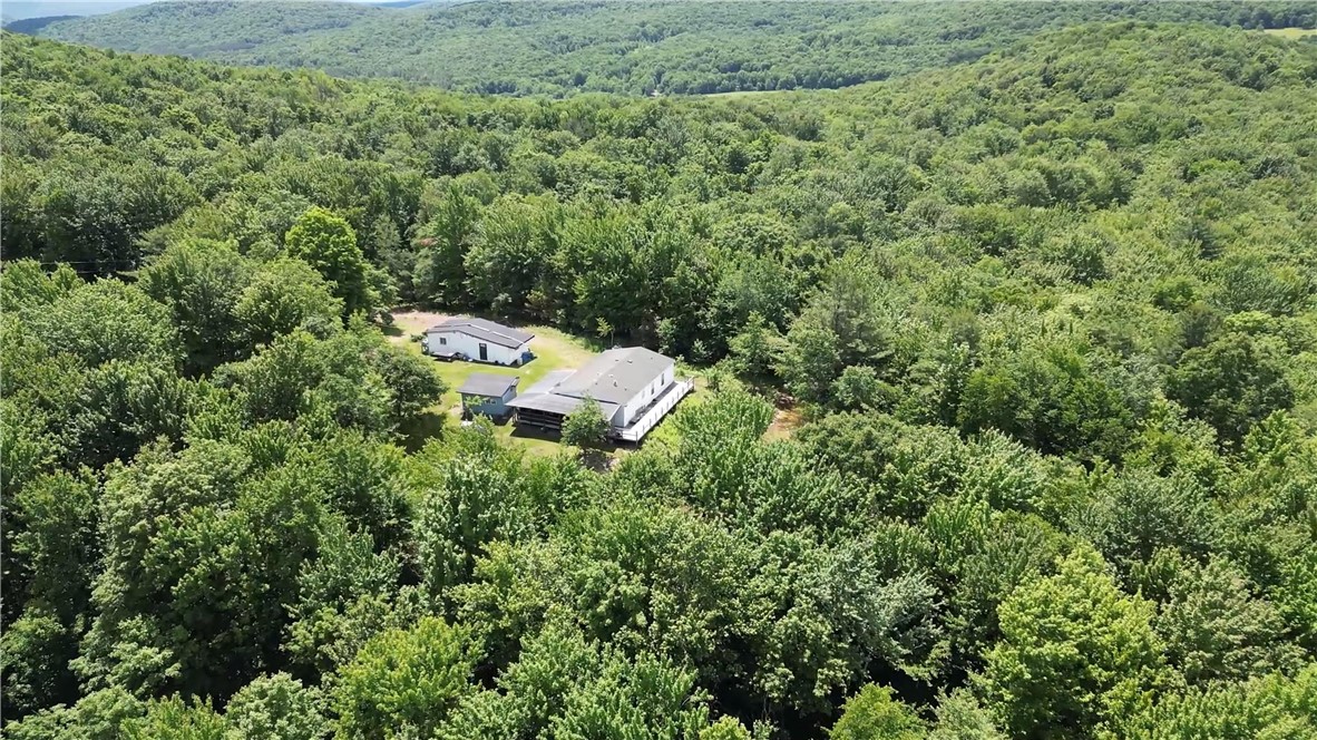 201 Sunrise Mountain Road Kortright, NY 13739 - Photo 8 of 49