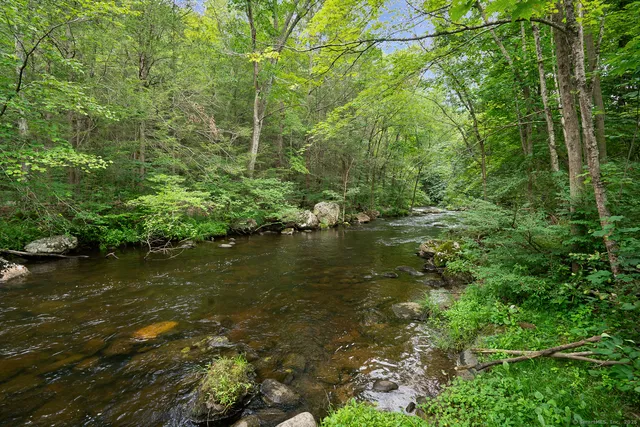 a view of a lake with lots of trees