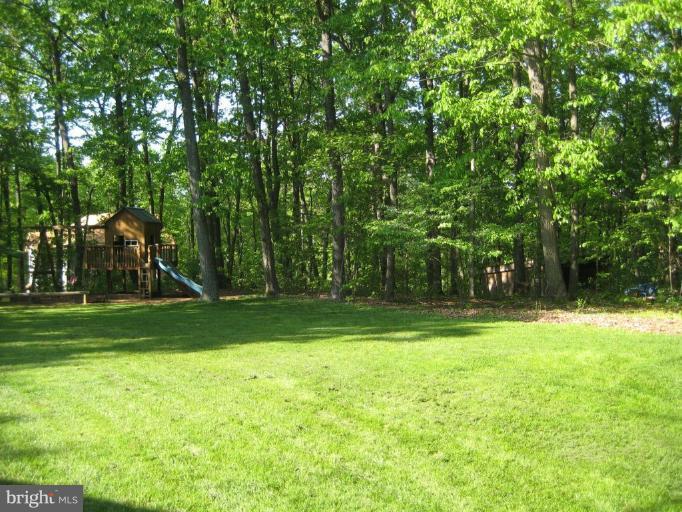 4840 Buffalo Road Mount Airy, MD 21771 - Photo 8 of 9 Wooded View / Acreage 3
