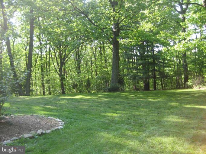 4840 Buffalo Road Mount Airy, MD 21771 - Photo 9 of 9 Back yard