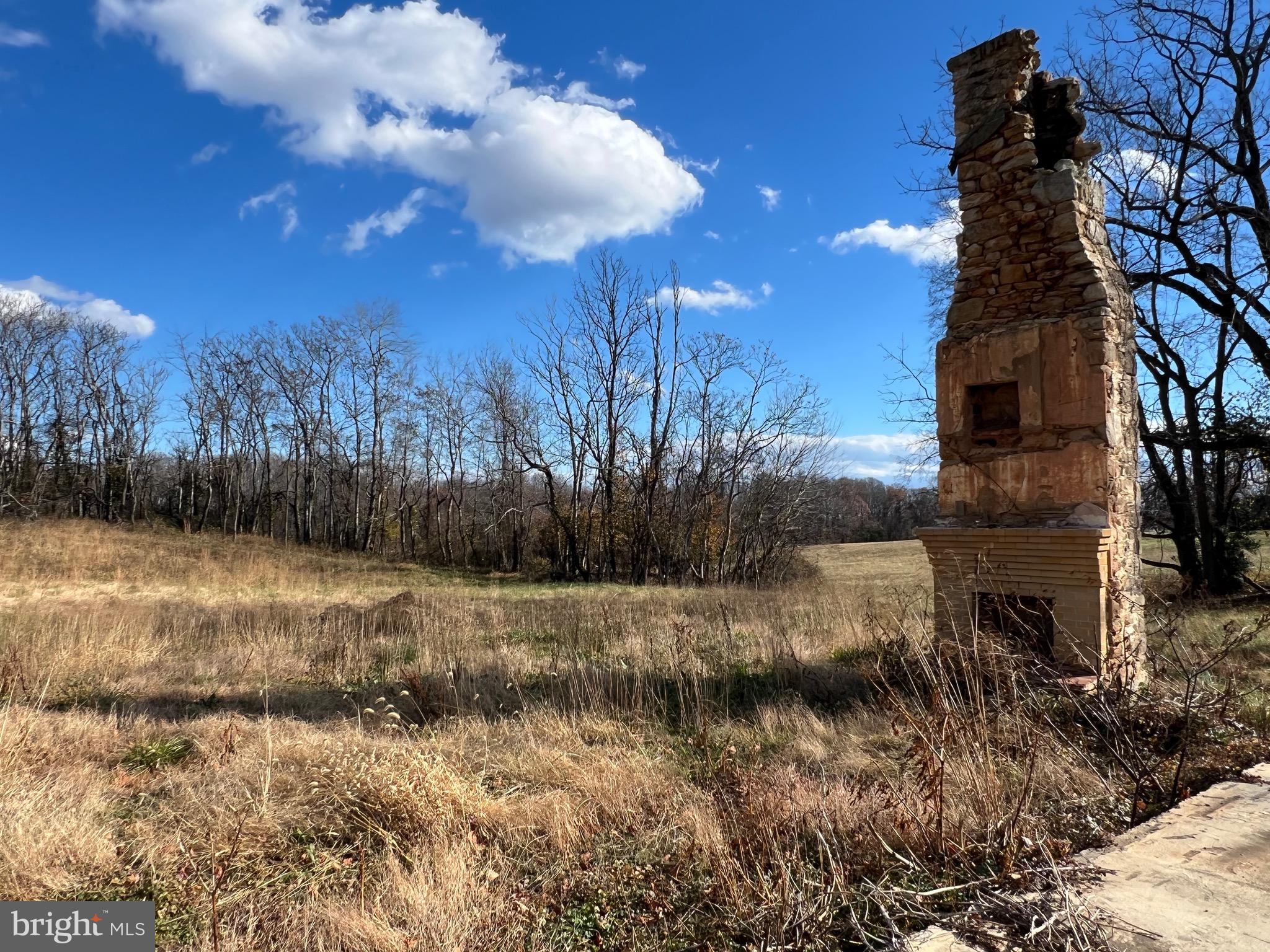 7035 Leeds Manor Road Marshall, VA 20115 - Photo 13 of 17 a view of a yard with a tree