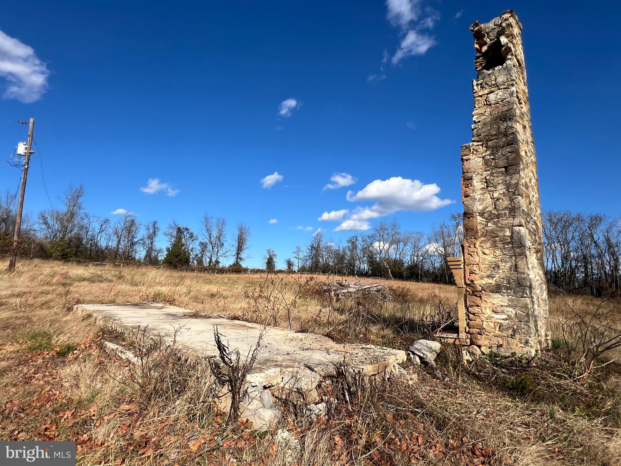 7035 Leeds Manor Road Marshall, VA 20115 - Photo 14 of 17 a view of a yard with trees